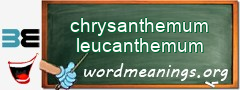 WordMeaning blackboard for chrysanthemum leucanthemum